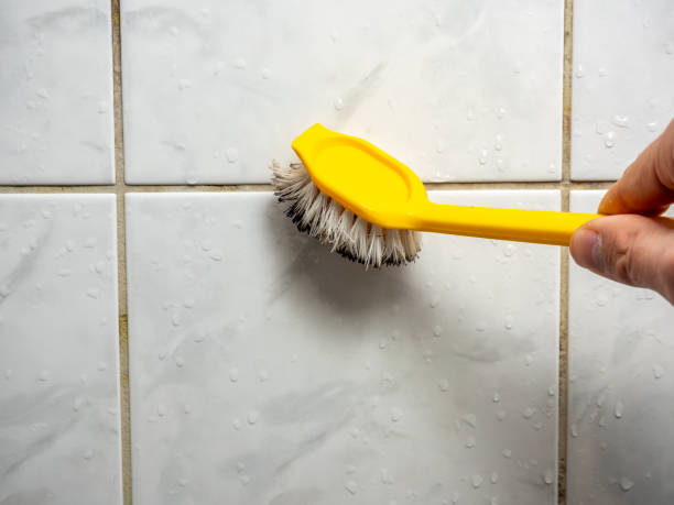 Best Preventive Mold Services in Vaiden, MS