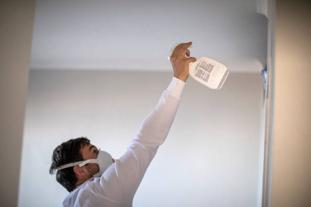 Best Post-Flood Mold Remediation in Vaiden, MS