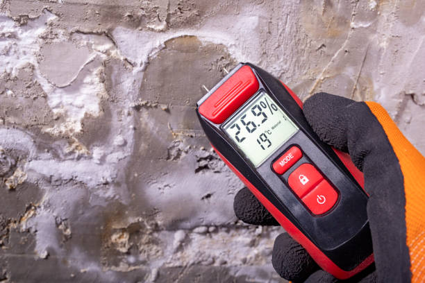 Best Industrial Mold Remediation in Vaiden, MS