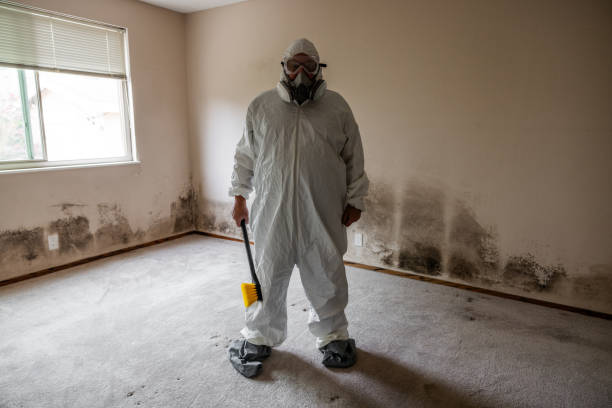 Best Post-Remediation Services in Vaiden, MS